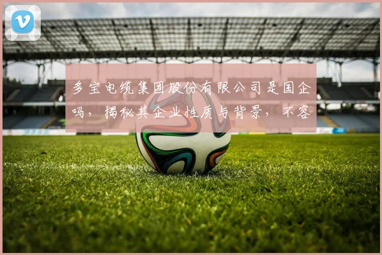 多宝电缆集团股份有限公司是国企吗，揭秘其企业性质与背景，不容错过，深度解析